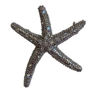 Silver Starfish Pin
